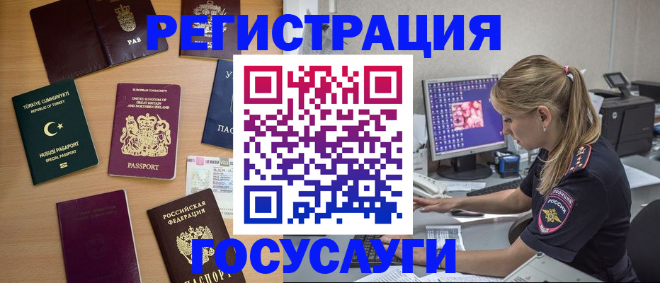 прописка для школы в Коле